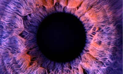 Iridology